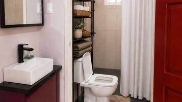Un baño con un lavamanos blanco, un inodoro, una ducha con manguera negra y un espejo en la pared.