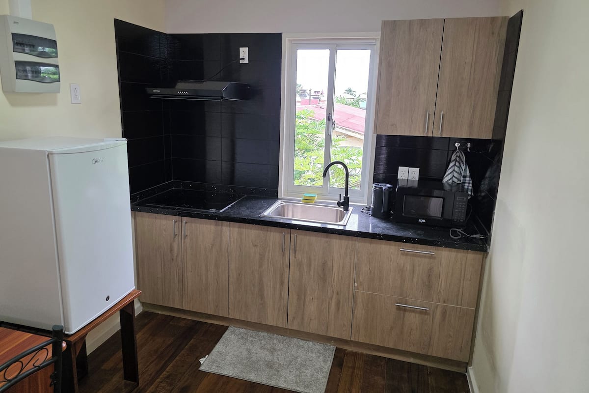 Premium Apartment | Private kitchen | Full-size fridge, microwave, stovetop, cookware/dishes/utensils