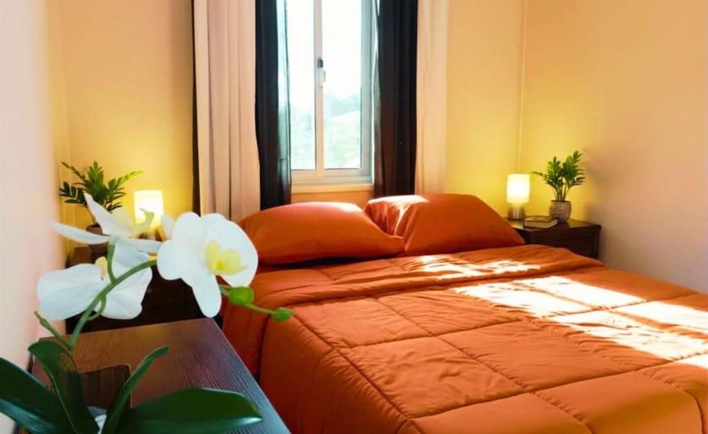 A hotel room with a bed, curtains, a window, a bedside table with a lamp, and a potted plant.