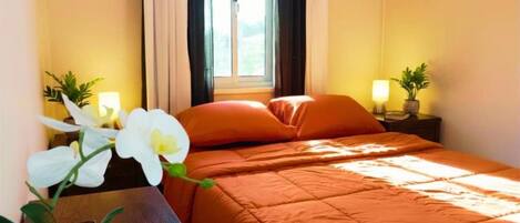 A hotel room with a bed, curtains, a window, a bedside table with a lamp, and a potted plant.