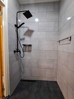 Premium Apartment | Bathroom | Shower, rainfall showerhead, towels, soap