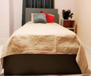 Comfort Double Room | Free WiFi - Dolfijn Studios (Paramaribo)