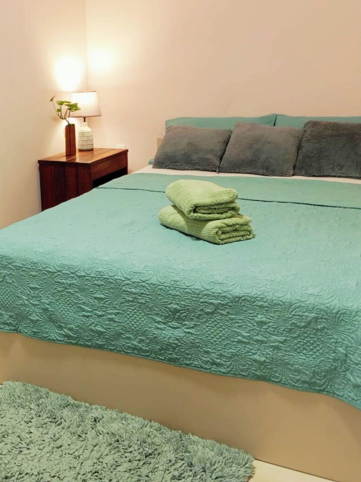 Individually decorated, individually furnished, iron/ironing board