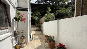 Un étroit couloir extérieur, agrémenté de plantes en pot et muni d’un tuyau d’arrosage sur le côté gauche.