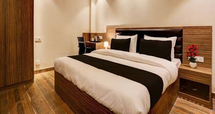 Super Collection O Stargaze