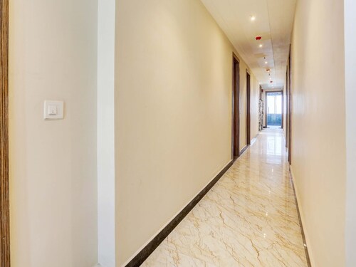 Super Collection O Stargaze