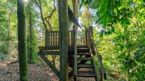 A wooden treehouse with a staircase, surrounded by dense forest.