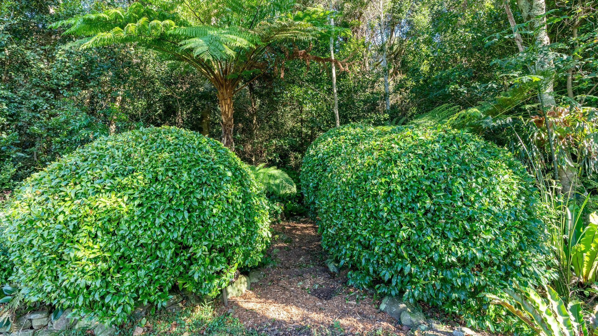 Áreas de la propiedad