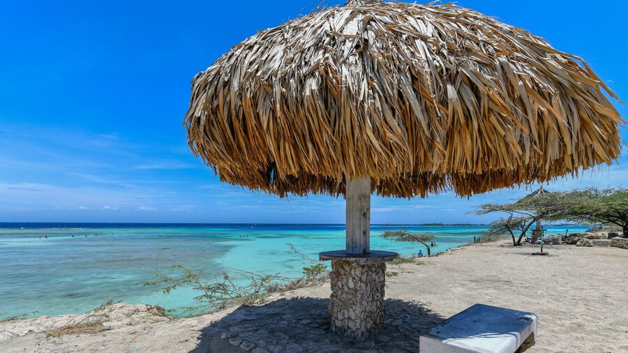 2 min Walk to Ocean - Mangel Halto Aruba