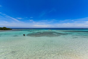 House - 2 min Walk to Ocean - Mangel Halto Aruba (Savaneta)