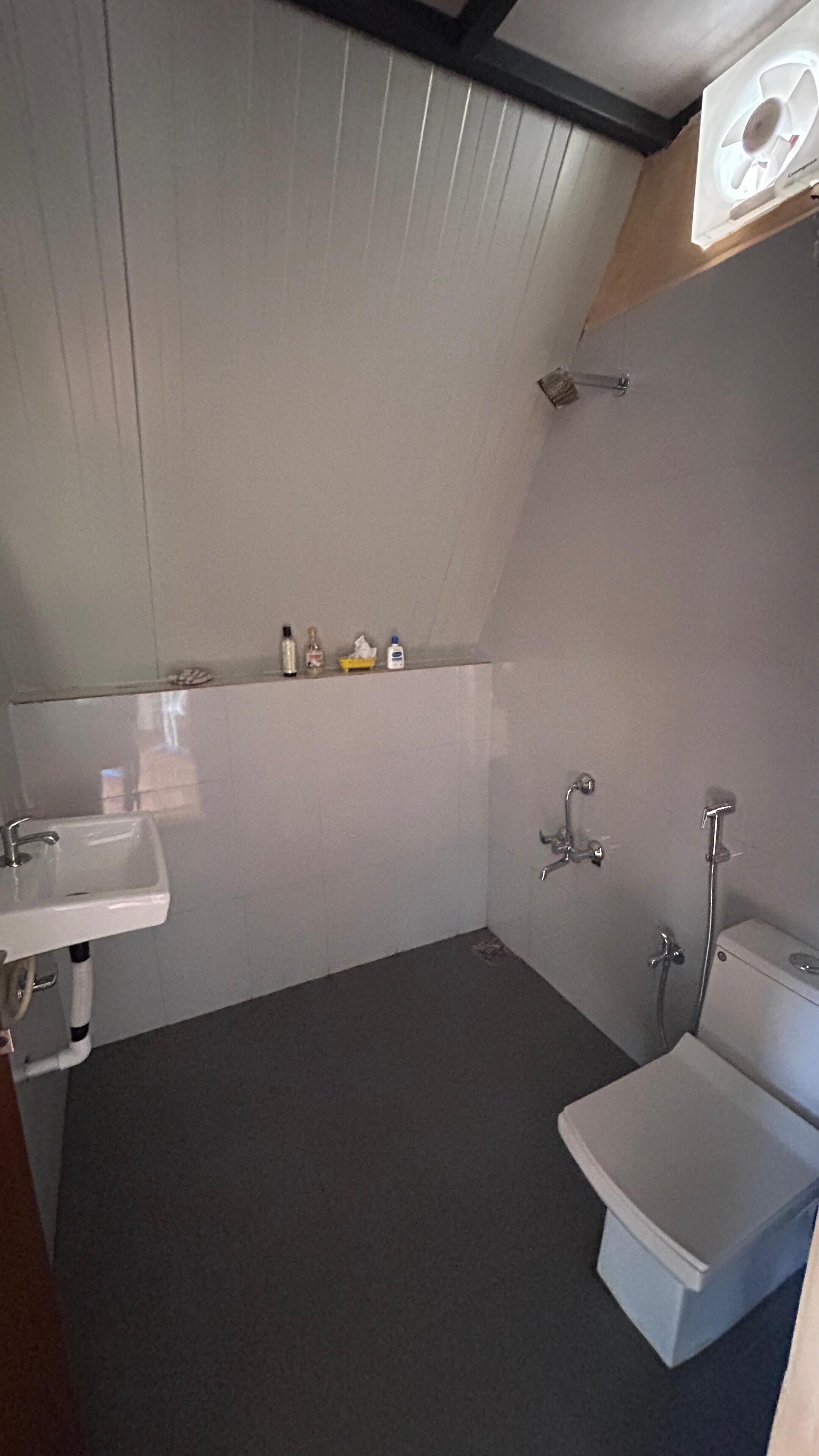 Een kleine, praktische badkamer met een witte wastafel, toilet en douche. Boven de wastafel bevindt zich een plank met toiletartikelen.