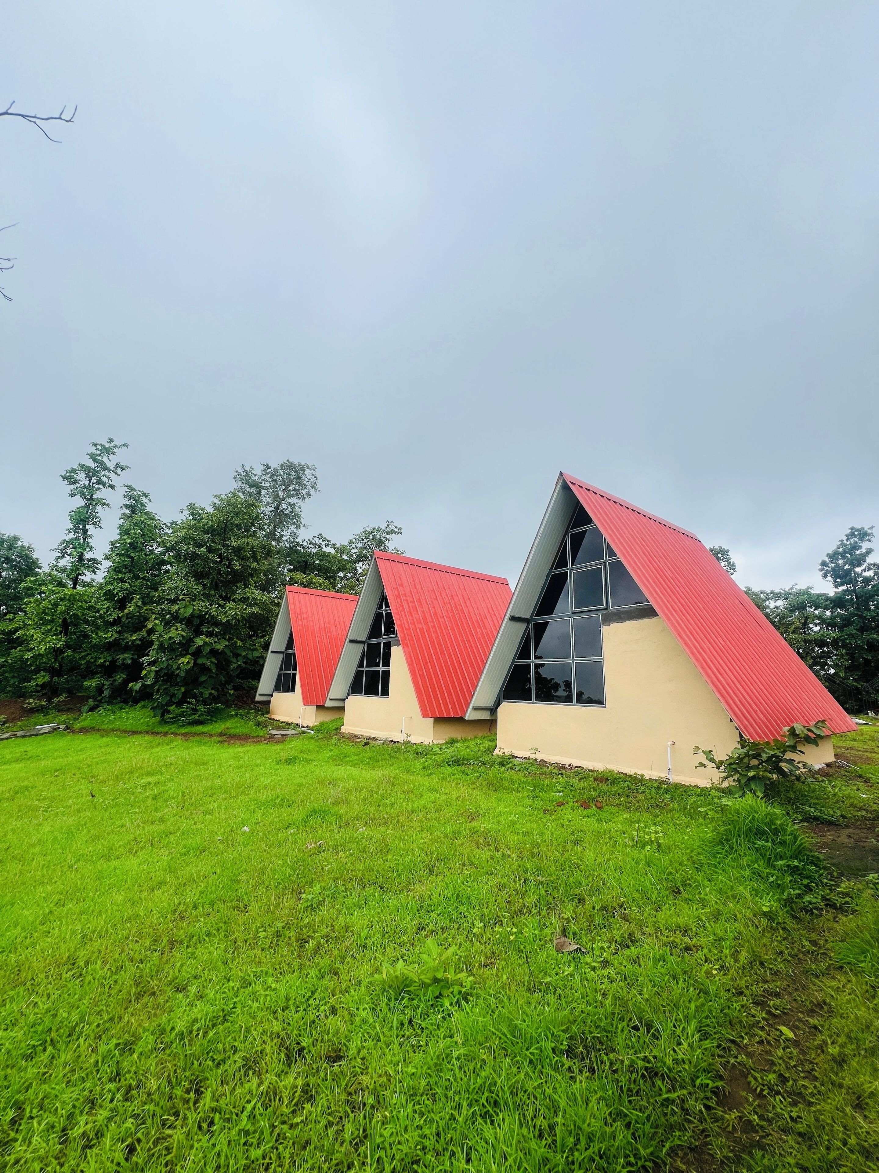 A row of modern, triangular-roofed buildings with large windows, set in a grassy area with trees in the background.