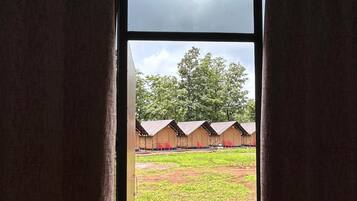 A view through a window with curtains, revealing a grassy area with a brick path and several tents.