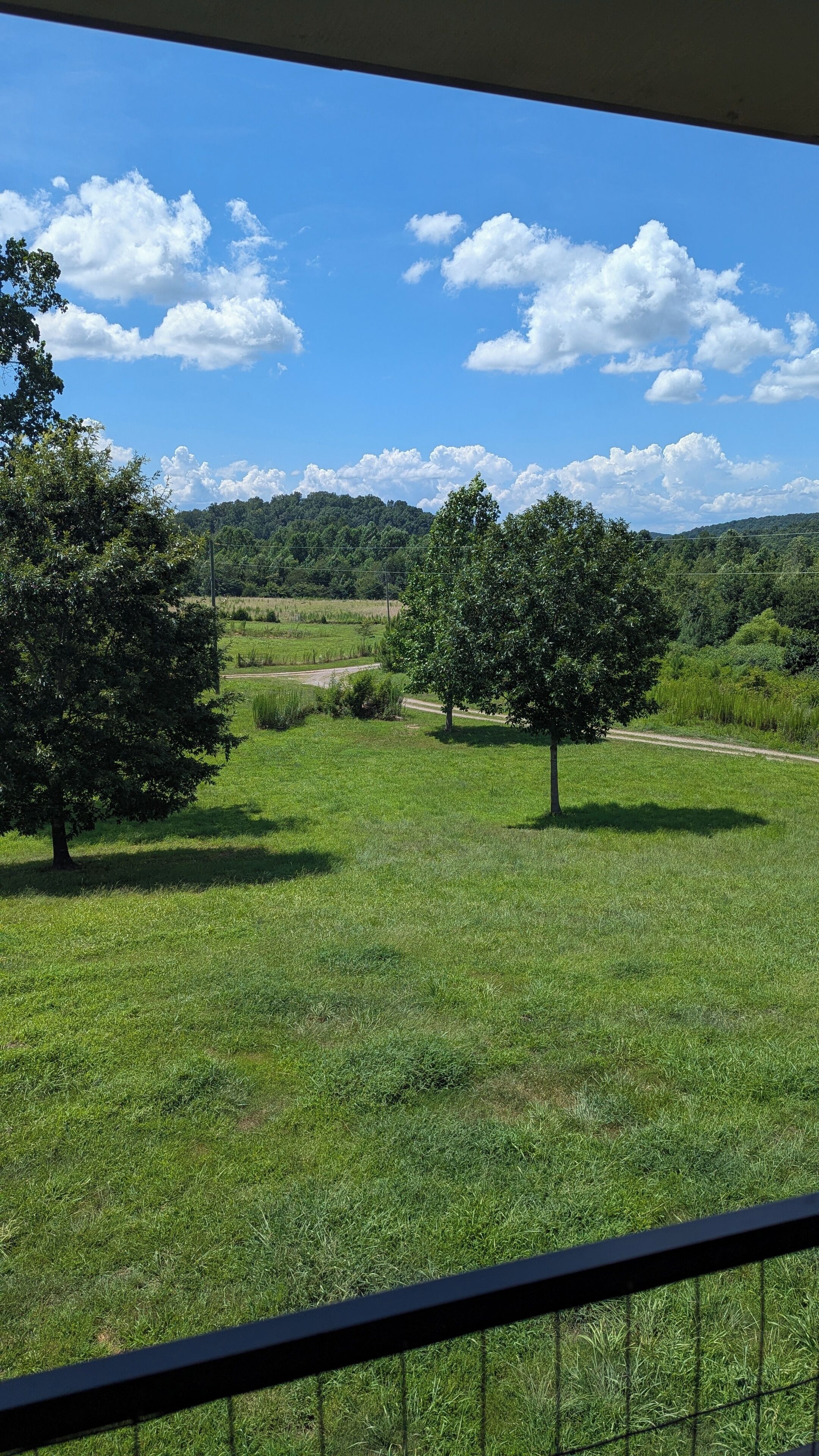 A view of a green field with trees and a clear blue sky.