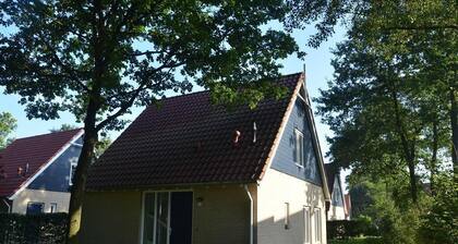 4-Person Comfort Villa
