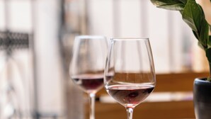 Two wine glasses on a table with a potted plant in the background. - Ode Aristofanous - Urban Hotel (Athens)