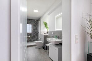 Shower, hair dryer, towels