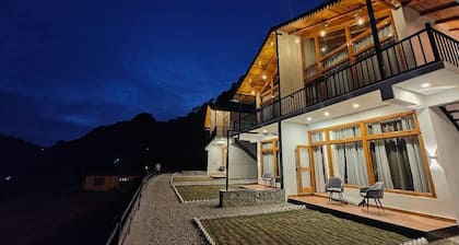 Silverfern By The Hillside