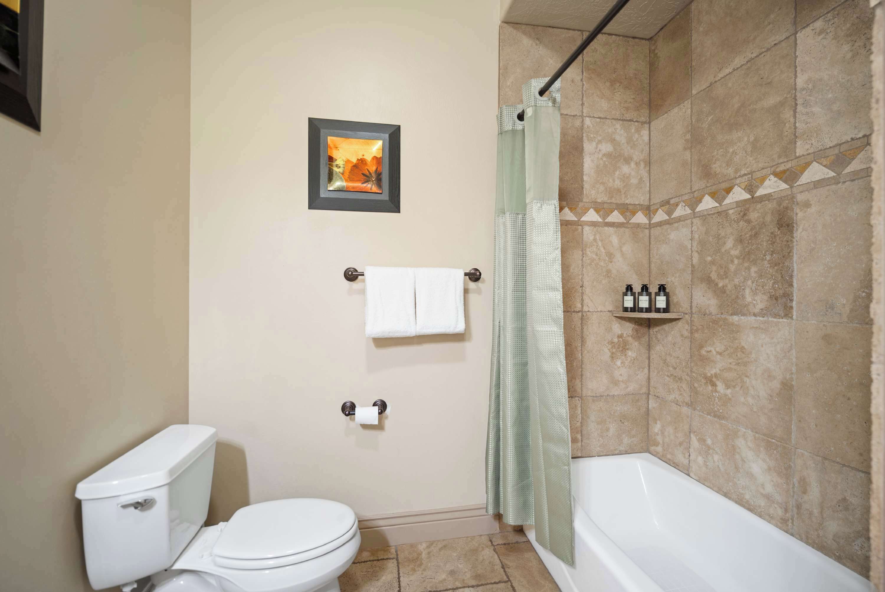 A bathroom with a toilet, a shower with a curtain, a framed picture on the wall, and a shelf with toiletries.