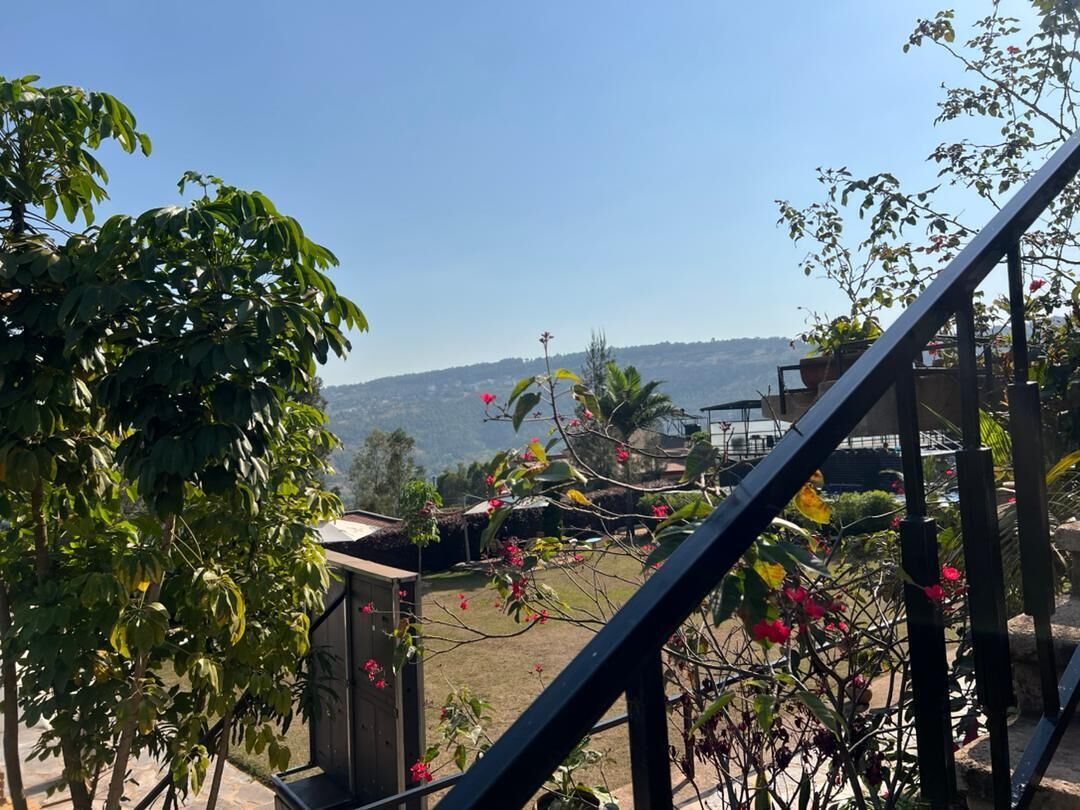 A view from a balcony with a wooden structure, a metal railing, and a garden with various plants and flowers.