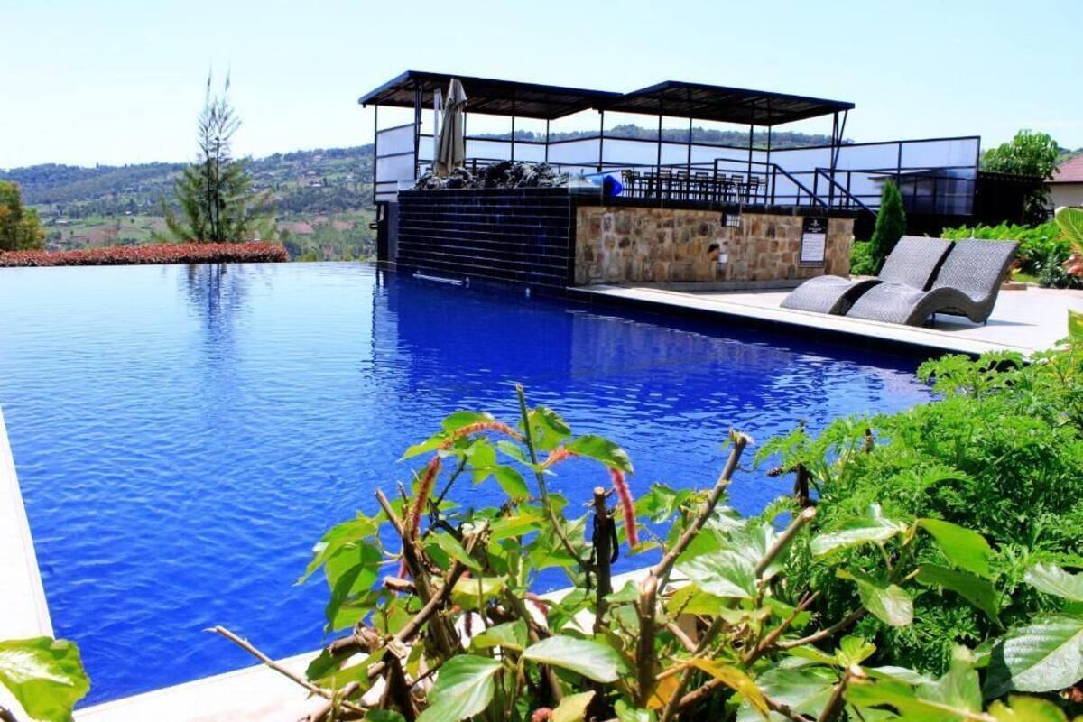 Ein Swimmingpool mit einer Steindeck und Liegestühlen, umgeben von viel Grün.