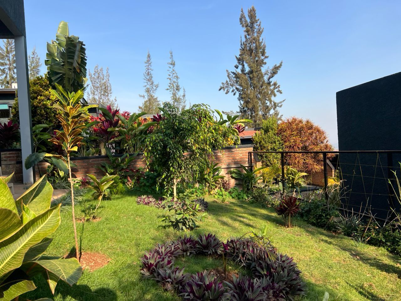 Un jardín bien cuidado con diversas plantas y árboles, un muro de ladrillo y una estructura de edificio moderna.
