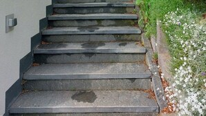 A set of stone steps leading up to a building, surrounded by greenery and a clear sky.