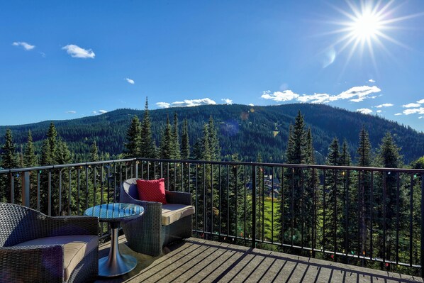 Terrain de l’hébergement 