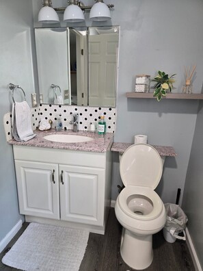 Hair dryer, towels, soap, toilet paper - Peaceful 2bedroom getaway in East Haven (East Haven)