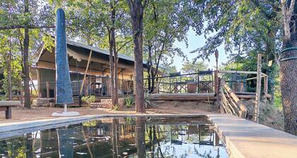 TIMELESS THRILLS: EMBRACE THE ESSENCE OF A CONSERVATION-DRIVEN EXPERIENCE