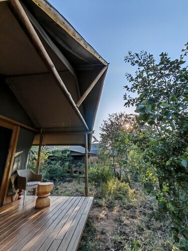 TIMELESS THRILLS: EMBRACE THE ESSENCE OF A CONSERVATION-DRIVEN EXPERIENCE