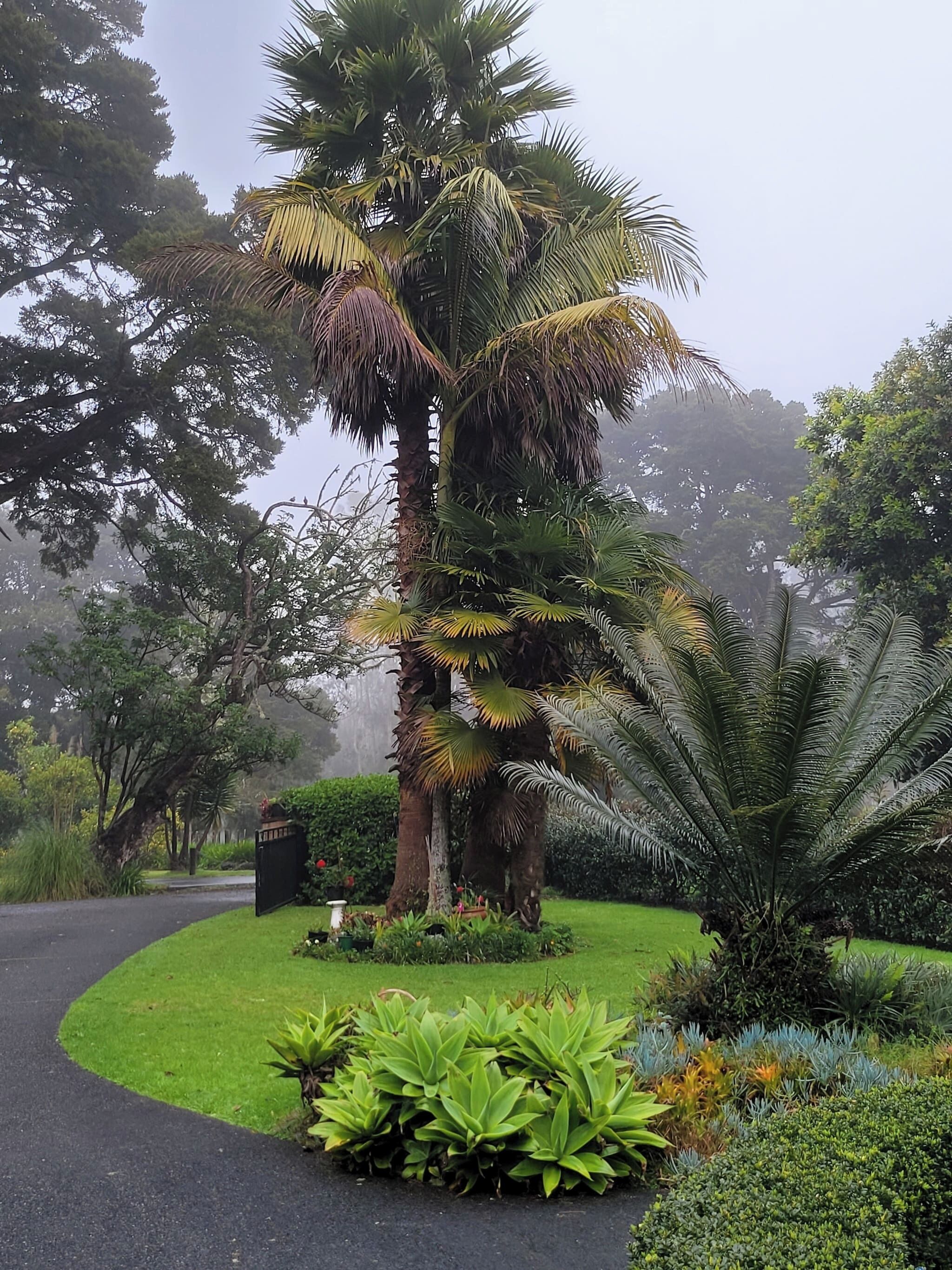 House, 5 Bedrooms, Balcony, Garden View | Exterior