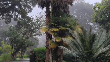 House, 5 Bedrooms, Balcony, Garden View | Exterior