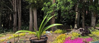 Serene Whangarei Lifestyle Luxurious Modern Home With Trees and Garden Views