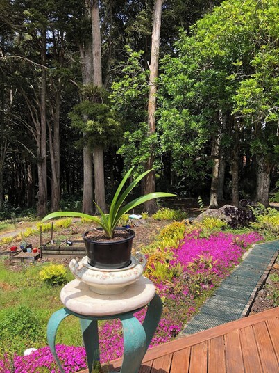 Serene Whangarei Lifestyle Luxurious Modern Home With Trees and Garden Views