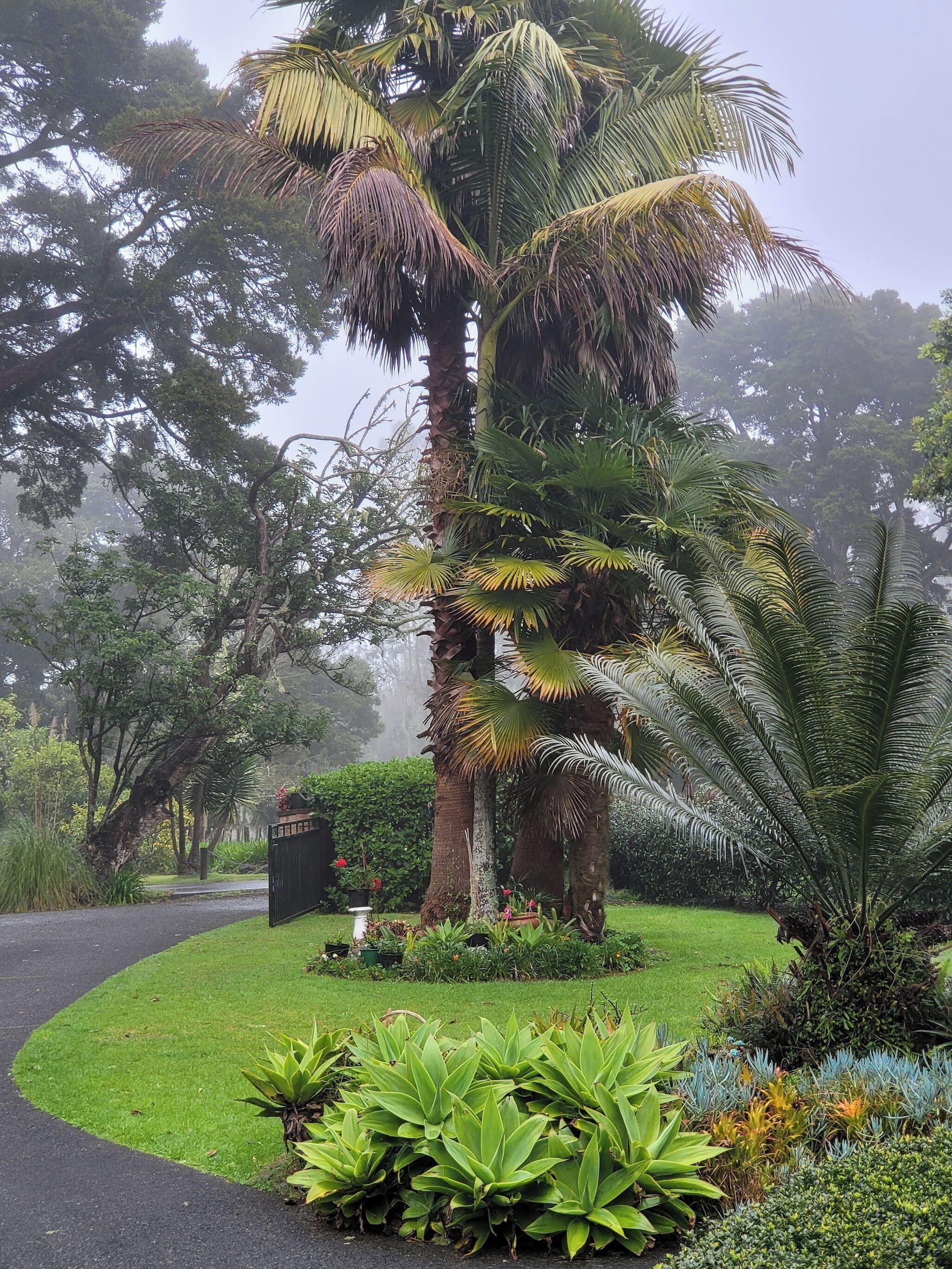 House, 5 Bedrooms, Balcony, Garden View | Exterior