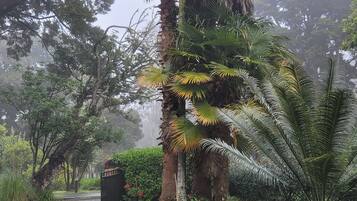 House, 5 Bedrooms, Balcony, Garden View | Exterior