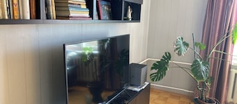 Spacious flat in the center