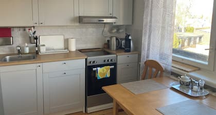 Spacious flat in the center