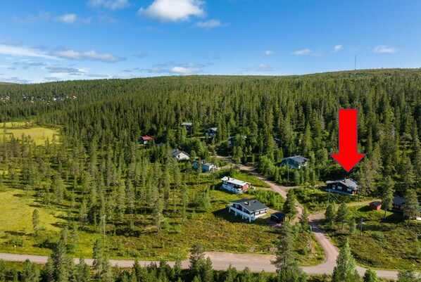 A remote cabin area surrounded by dense forest, with a clear road leading to the cabins.
