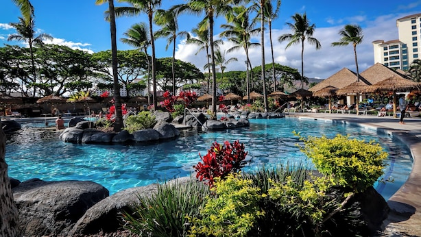 A resort pool with palm trees, rocks, and tropical plants.