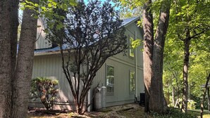 A house surrounded by trees with a yard in front.