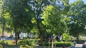A paved walkway with benches, surrounded by lush green trees and a signboard. - Small romantic house in the "Burgviertel" (old town) (Unna)