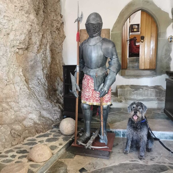 Burg Hermannstein Monksroom - Wetzlar