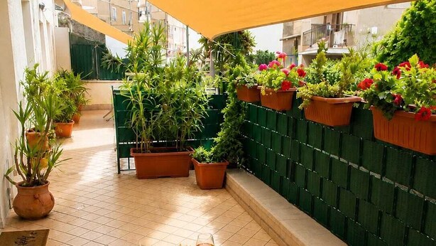 Een terras met zitplaatsen buiten, planten in potten en een tafel met drankjes en lekkernijen.