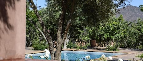 A pool area with trees and a mountain in the background.