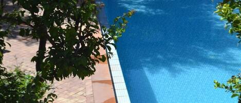 Piscina externa