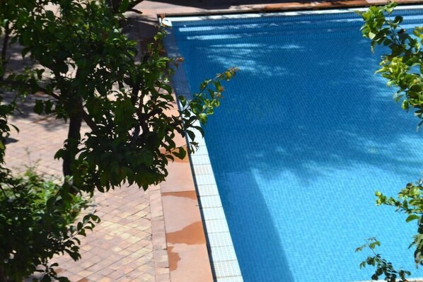 A swimming pool with a tiled edge, surrounded by a tiled walkway and greenery. - Villa Quince  (Ouirgane)