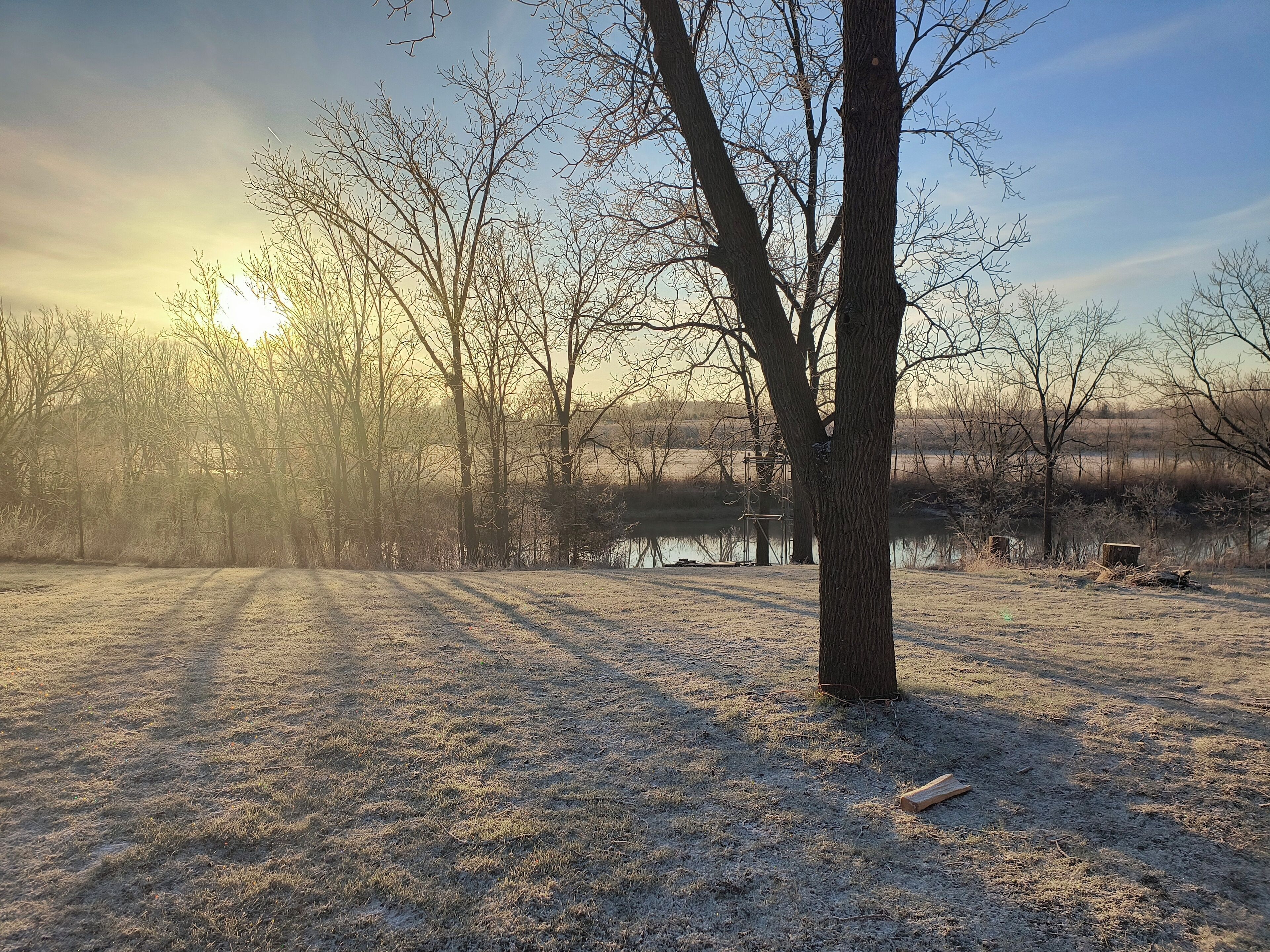 A serene landscape with a clear sky, a body of water, and a path leading through a field of trees.