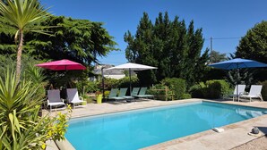 Piscina con sillones de descanso y sombrillas, rodeada de follaje.